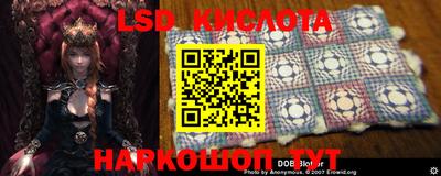 бошки Кимры