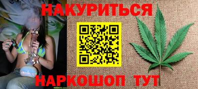spice Кингисепп