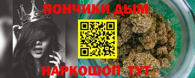spice Кингисепп