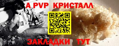 spice Кингисепп