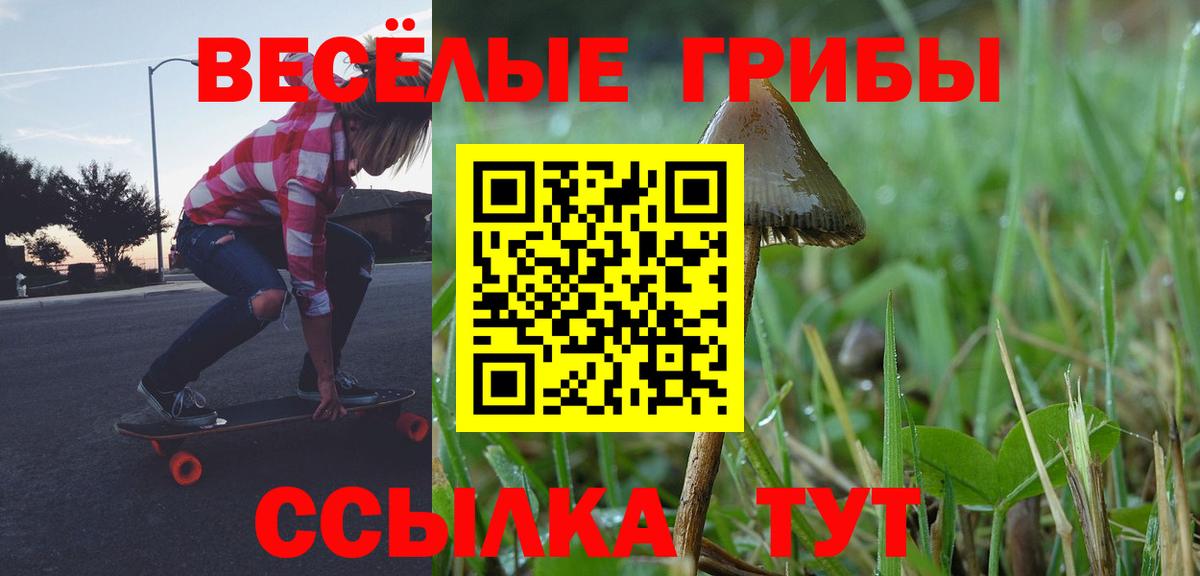Псилоцибиновые грибы MAGIC MUSHROOMS  Вход с VPN  Крымск  Галлюциногенные грибы Magic Shrooms 